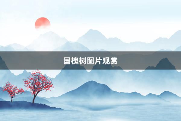 国槐树图片观赏