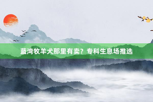 蓝湾牧羊犬那里有卖？专科生息场推选